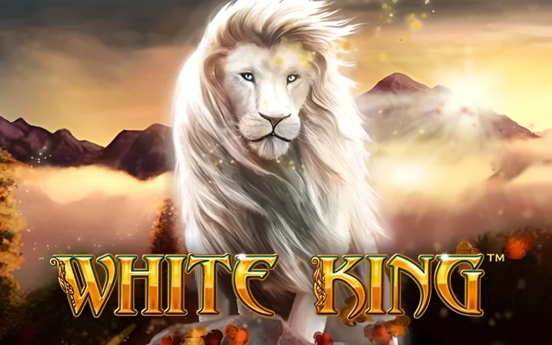 Jogo da roleta que ganha dinheiro