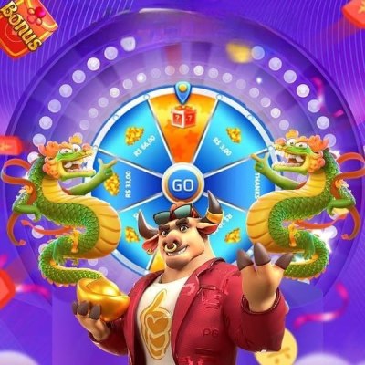 Bingo online ao vivo