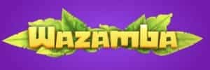 Blaze mine